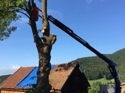Kranarbeiten