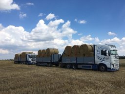 Transporte